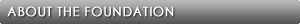 About the Foundation