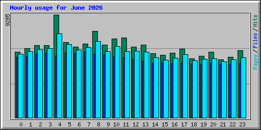 Hourly usage for June 2026